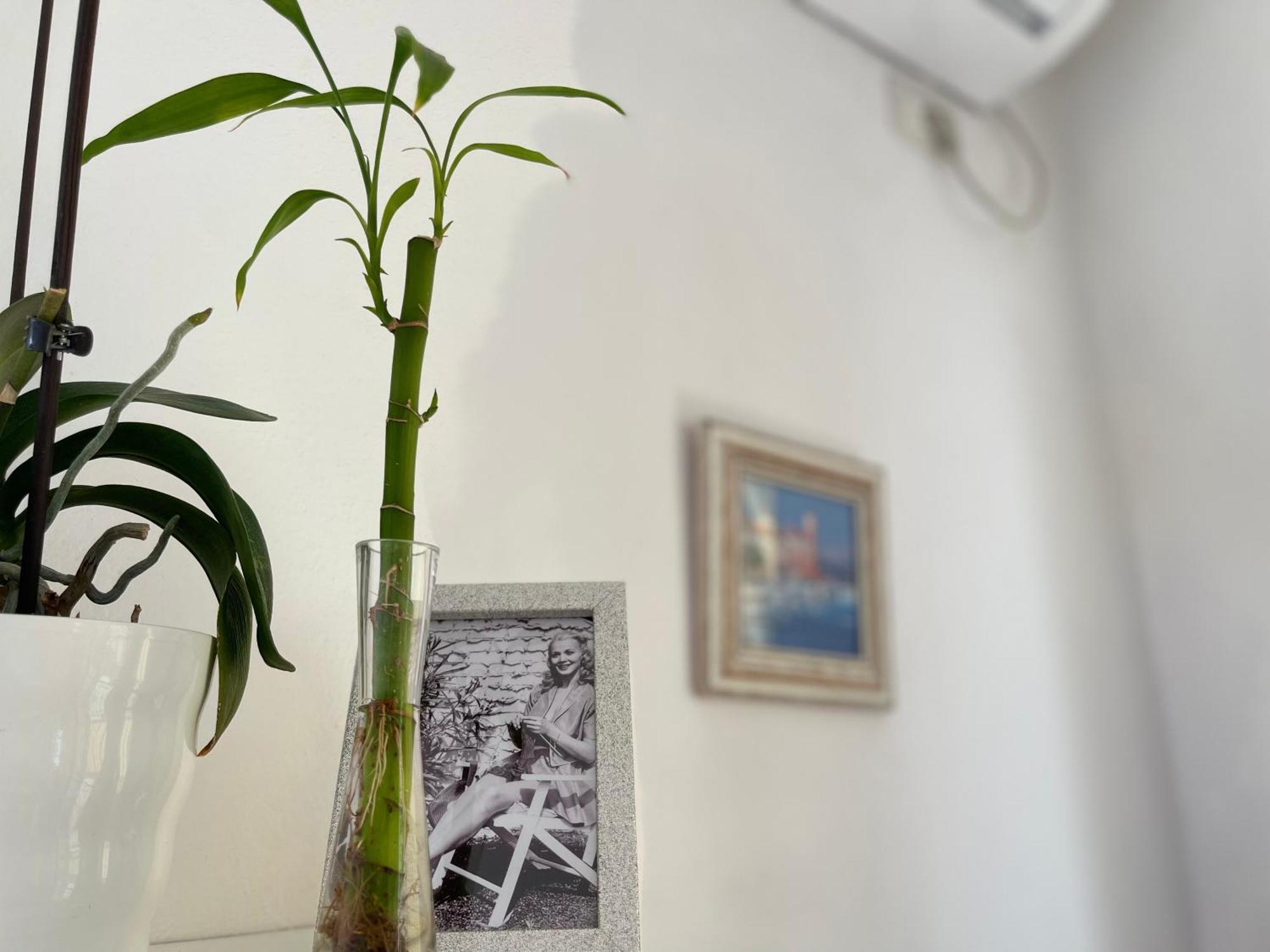 Apartamento Kristi *